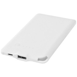 Powerbank WS119 da 4000 mAh