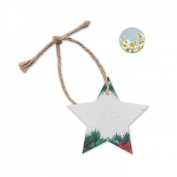 STARSEED Decorazione...